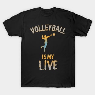 Volleyball Sport Team Play Gift T-Shirt